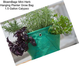 BloemBagz Mini Herb Hanging Planter Grow Bag 1.5 Gallon Calypso