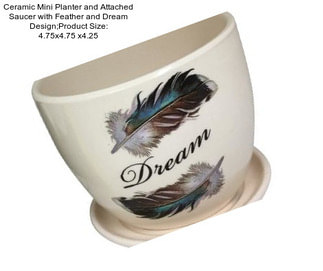 Ceramic Mini Planter and Attached Saucer with Feather and Dream Design;Product Size: 4.75x4.75 x4.25