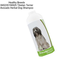 Healthy Breeds 840235156925 Tibetan Terrier Avocado Herbal Dog Shampoo