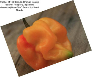 Packet of 100 Seeds, Orange Scotch Bonnet Pepper (Capsicum chinense) Non-GMO Seeds by Seed Needs