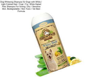 Dog Whitening Shampoo for Dogs with White / Light Colored Hair / Coat / Fur. White Haired Pets Shampoo For Itching / Dry / Sensitive Skin. Biodegradable / Non Toxic / Vet Best Formula