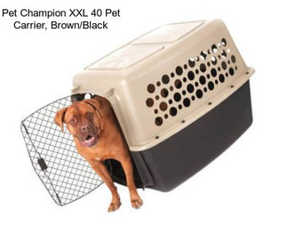 Pet Champion XXL 40\