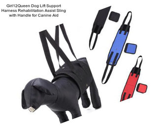 Girl12Queen Dog Lift Support Harness Rehabilitation Assist Sling with Handle for Canine Aid