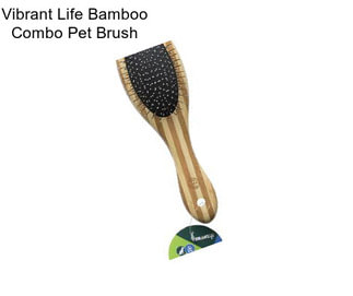 Vibrant Life Bamboo Combo Pet Brush