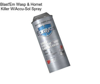 Blast\'Em Wasp & Hornet Killer W/Accu-Sol Spray