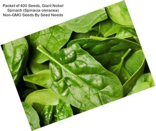 Packet of 400 Seeds, Giant Nobel Spinach (Spinacia oleracea) Non-GMO Seeds By Seed Needs