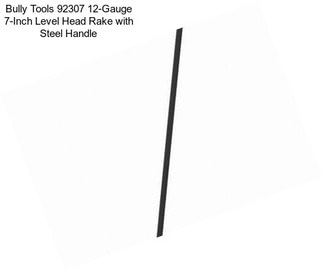 Bully Tools 92307 12-Gauge 7-Inch Level Head Rake with Steel Handle