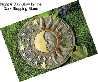 Night & Day Glow In The Dark Stepping Stone