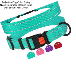 Reflective Dog Collar Safety Nylon Collars for Medium Dogs with Buckle, Mint Green