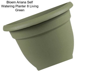 Bloem Ariana Self Watering Planter 8\