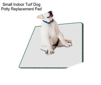 Small Indoor Turf Dog Potty Replacement Pad