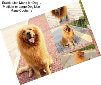 Estink  Lion Mane for Dog  , Medium or Large Dog Lion Mane Costume