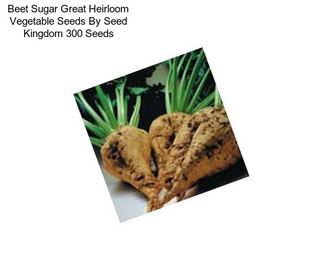 Beet Sugar Great Heirloom Vegetable Seeds By Seed Kingdom 300 Seeds