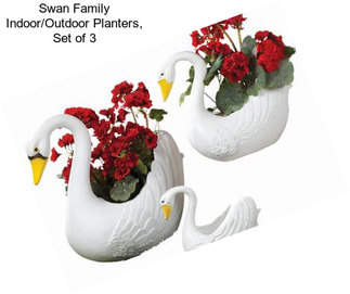 Swan Family Indoor/Outdoor Planters, Set of 3