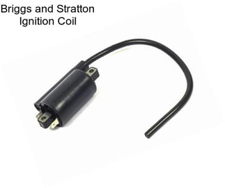 Briggs and Stratton Ignition Coil