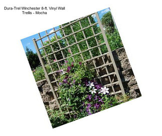 Dura-Trel Winchester 8-ft. Vinyl Wall Trellis - Mocha