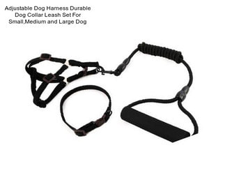 Adjustable Dog Harness Durable Dog Collar Leash Set For Small,Medium and Large Dog