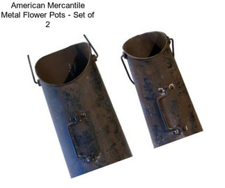 American Mercantile Metal Flower Pots - Set of 2