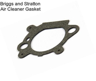 Briggs and Stratton Air Cleaner Gasket