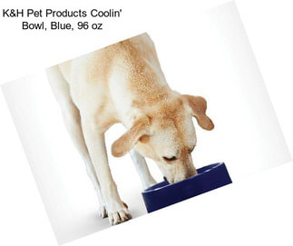 K&H Pet Products Coolin\' Bowl, Blue, 96 oz