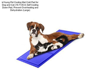 IsYoung Pet Cooling Mat Cold Pad for Dog and Cat (19.7\