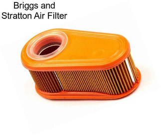 Briggs and Stratton Air Filter