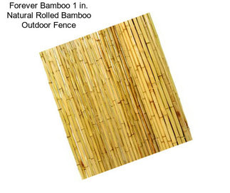 Forever Bamboo 1 in. Natural Rolled Bamboo Outdoor Fence