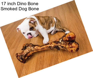 17 inch Dino Bone Smoked Dog Bone