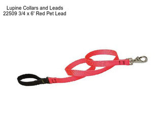 Lupine Collars and Leads 22509 3/4\