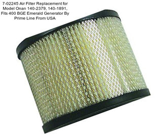 7-02245 Air Filter Replacement for Model Onan 140-2379, 140-1891, Fits 400 BGE Emerald Generator By Prime Line From USA