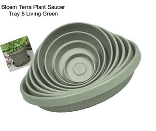 Bloem Terra Plant Saucer Tray 8\