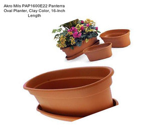 Akro Mils PAP1600E22 Panterra Oval Planter, Clay Color, 16-Inch Length