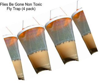 Flies Be Gone Non Toxic Fly Trap (4 pack)
