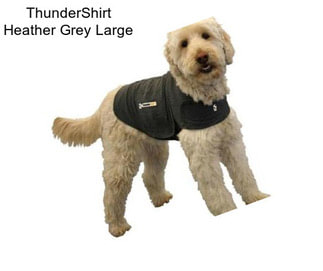 ThunderShirt Heather Grey Large