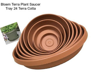 Bloem Terra Plant Saucer Tray 24\