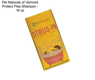 Pet Naturals of Vermont Protect Flea Shampoo - 16 oz