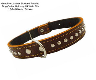 Genuine Leather Studded Padded Dog Collar 18\