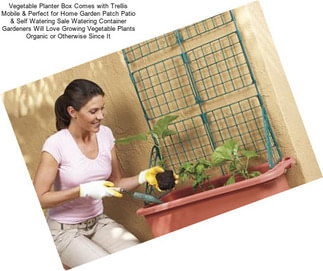 Vegetable Planter Box Comes with Trellis Mobile & Perfect for Home Garden Patch Patio & Self Watering Sale Watering Container Gardeners Will Love Growing Vegetable Plants Organic or Otherwise Since It