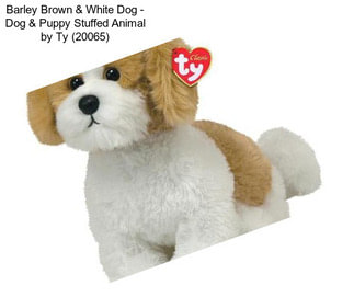 Barley Brown & White Dog - Dog & Puppy Stuffed Animal by Ty (20065)