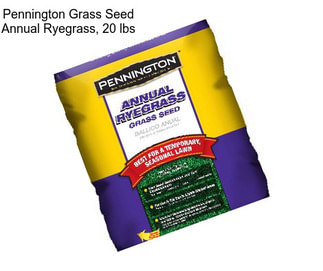 Pennington Grass Seed Annual Ryegrass, 20 lbs