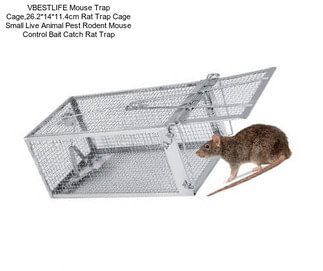 VBESTLIFE Mouse Trap Cage,26.2*14*11.4cm Rat Trap Cage Small Live Animal Pest Rodent Mouse Control Bait Catch Rat Trap