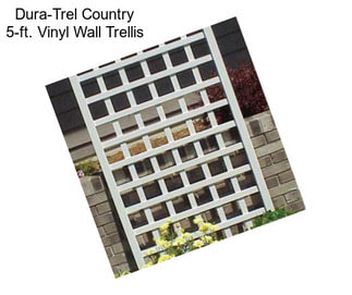 Dura-Trel Country 5-ft. Vinyl Wall Trellis