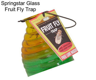 Springstar Glass Fruit Fly Trap