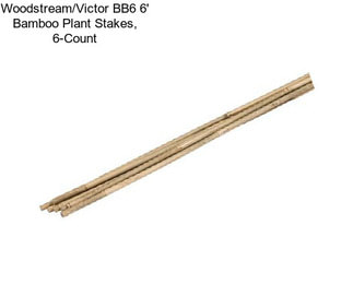 Woodstream/Victor BB6 6\' Bamboo Plant Stakes, 6-Count