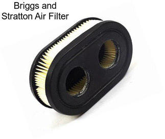 Briggs and Stratton Air Filter