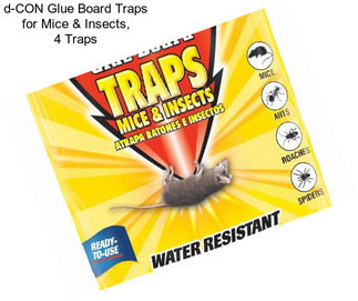 D-CON Glue Board Traps for Mice & Insects, 4 Traps