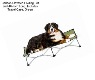 Carlson Elevated Folding Pet Bed 46-Inch Long, Includes Travel Case, Green