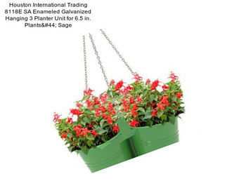 Houston International Trading 8118E SA Enameled Galvanized Hanging 3 Planter Unit for 6.5 in. Plants, Sage