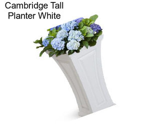 Cambridge Tall Planter White