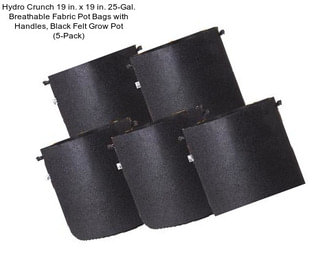 Hydro Crunch 19 in. x 19 in. 25-Gal. Breathable Fabric Pot Bags with Handles, Black Felt Grow Pot (5-Pack)